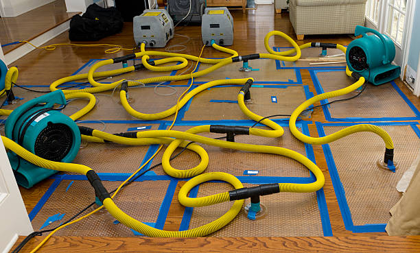 Professional Basement Flood Cleanup technician working in Tujunga, CA